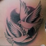 Фото тату голубь 26.10.2018 №070 - tattoo dove - tattoo-photo.ru