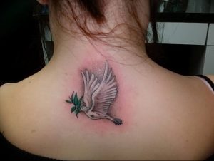 Фото тату голубь 26.10.2018 №082 - tattoo dove - tattoo-photo.ru