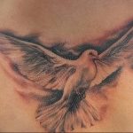 Фото тату голубь 26.10.2018 №090 - tattoo dove - tattoo-photo.ru