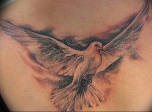 Фото тату голубь 26.10.2018 №090 - tattoo dove - tattoo-photo.ru