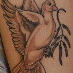 Фото тату голубь 26.10.2018 №091 - tattoo dove - tattoo-photo.ru