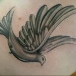 Фото тату голубь 26.10.2018 №093 - tattoo dove - tattoo-photo.ru