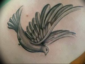 Фото тату голубь 26.10.2018 №093 - tattoo dove - tattoo-photo.ru