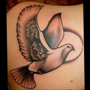 Фото тату голубь 26.10.2018 №096 - tattoo dove - tattoo-photo.ru