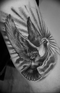 Фото тату голубь 26.10.2018 №108 - tattoo dove - tattoo-photo.ru