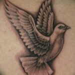 Фото тату голубь 26.10.2018 №142 - tattoo dove - tattoo-photo.ru