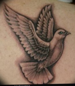 Фото тату голубь 26.10.2018 №142 - tattoo dove - tattoo-photo.ru