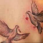 Фото тату голубь 26.10.2018 №163 - tattoo dove - tattoo-photo.ru