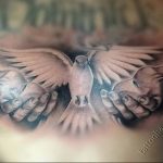 Фото тату голубь 26.10.2018 №177 - tattoo dove - tattoo-photo.ru