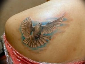 Фото тату голубь 26.10.2018 №178 - tattoo dove - tattoo-photo.ru