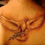 Фото тату голубь 26.10.2018 №189 - tattoo dove - tattoo-photo.ru