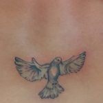 Фото тату голубь 26.10.2018 №197 - tattoo dove - tattoo-photo.ru