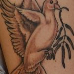 Фото тату голубь 26.10.2018 №204 - tattoo dove - tattoo-photo.ru