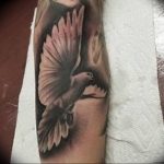 Фото тату голубь 26.10.2018 №206 - tattoo dove - tattoo-photo.ru