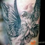 Фото тату голубь 26.10.2018 №209 - tattoo dove - tattoo-photo.ru