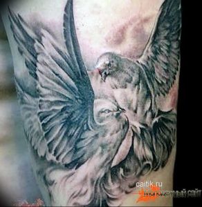 Фото тату голубь 26.10.2018 №209 - tattoo dove - tattoo-photo.ru