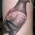 Фото тату голубь 26.10.2018 №216 - tattoo dove - tattoo-photo.ru