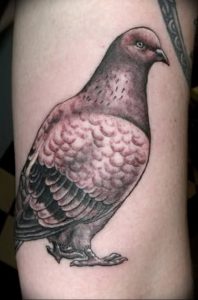 Фото тату голубь 26.10.2018 №216 - tattoo dove - tattoo-photo.ru