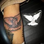 Фото тату голубь 26.10.2018 №218 - tattoo dove - tattoo-photo.ru