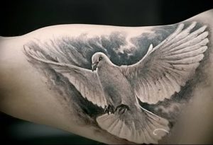 Фото тату голубь 26.10.2018 №219 - tattoo dove - tattoo-photo.ru
