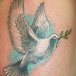 Фото тату голубь 26.10.2018 №225 - tattoo dove - tattoo-photo.ru