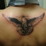 Фото тату голубь 26.10.2018 №229 - tattoo dove - tattoo-photo.ru