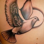 Фото тату голубь 26.10.2018 №230 - tattoo dove - tattoo-photo.ru