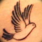 Фото тату голубь 26.10.2018 №231 - tattoo dove - tattoo-photo.ru