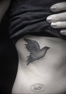 Фото тату голубь 26.10.2018 №233 - tattoo dove - tattoo-photo.ru