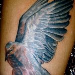 Фото тату голубь 26.10.2018 №237 - tattoo dove - tattoo-photo.ru