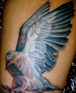 Фото тату голубь 26.10.2018 №237 - tattoo dove - tattoo-photo.ru