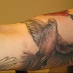 Фото тату голубь 26.10.2018 №240 - tattoo dove - tattoo-photo.ru