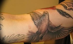 Фото тату голубь 26.10.2018 №240 - tattoo dove - tattoo-photo.ru