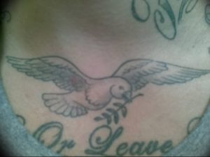 Фото тату голубь 26.10.2018 №241 - tattoo dove - tattoo-photo.ru