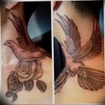 Фото тату голубь 26.10.2018 №243 - tattoo dove - tattoo-photo.ru