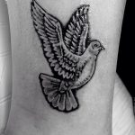 Фото тату голубь 26.10.2018 №246 - tattoo dove - tattoo-photo.ru