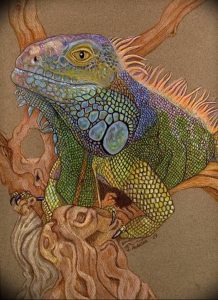 Фото тату игуана 26.10.2018 №004 - tattoo iguana - tattoo-photo.ru
