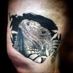 Фото тату игуана 26.10.2018 №016 - tattoo iguana - tattoo-photo.ru