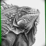 Фото тату игуана 26.10.2018 №020 - tattoo iguana - tattoo-photo.ru