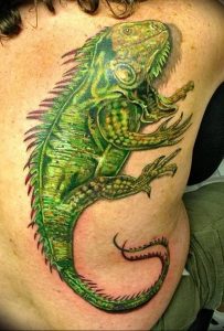 Фото тату игуана 26.10.2018 №040 - tattoo iguana - tattoo-photo.ru