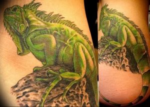 Фото тату игуана 26.10.2018 №052 - tattoo iguana - tattoo-photo.ru