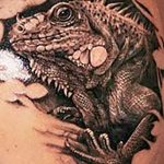 Фото тату игуана 26.10.2018 №064 - tattoo iguana - tattoo-photo.ru