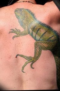 Фото тату игуана 26.10.2018 №072 - tattoo iguana - tattoo-photo.ru