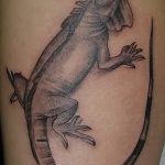 Фото тату игуана 26.10.2018 №078 - tattoo iguana - tattoo-photo.ru