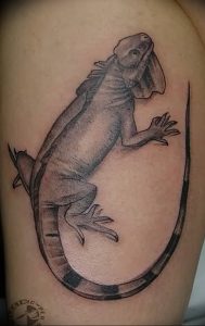 Фото тату игуана 26.10.2018 №078 - tattoo iguana - tattoo-photo.ru