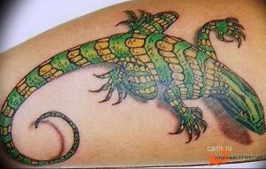 Фото тату игуана 26.10.2018 №079 - tattoo iguana - tattoo-photo.ru