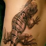 Фото тату игуана 26.10.2018 №080 - tattoo iguana - tattoo-photo.ru