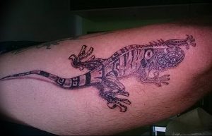 Фото тату игуана 26.10.2018 №083 - tattoo iguana - tattoo-photo.ru