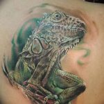 Фото тату игуана 26.10.2018 №102 - tattoo iguana - tattoo-photo.ru