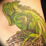 Фото тату игуана 26.10.2018 №103 - tattoo iguana - tattoo-photo.ru